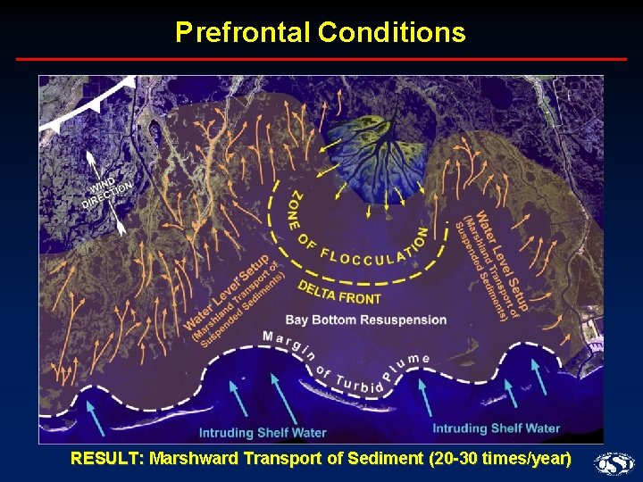 Prefrontal Conditions RESULT: Marshward Transport of Sediment (20 -30 times/year) 