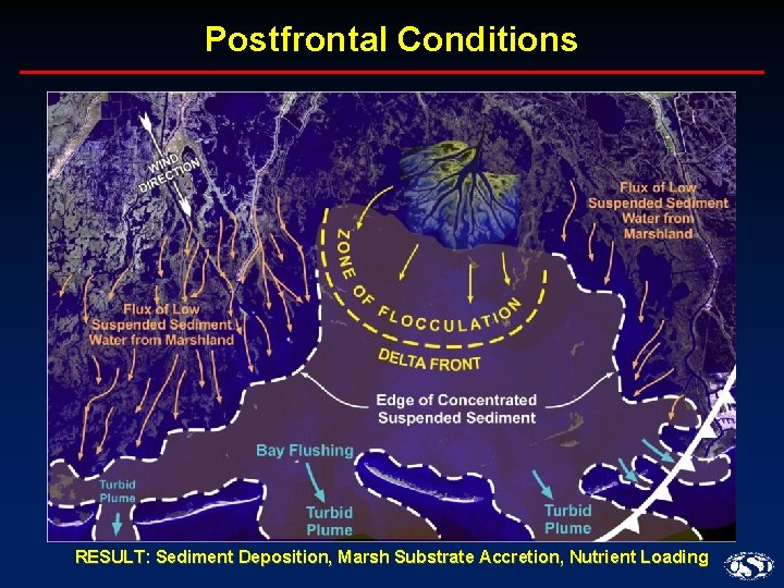 Postfrontal Conditions RESULT: Sediment Deposition, Marsh Substrate Accretion, Nutrient Loading 