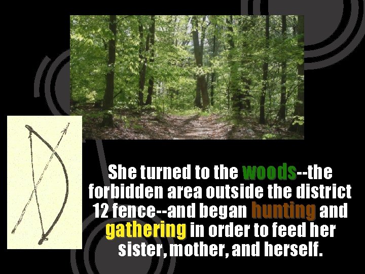 She turned to the woods--the forbidden area outside the district 12 fence--and began hunting