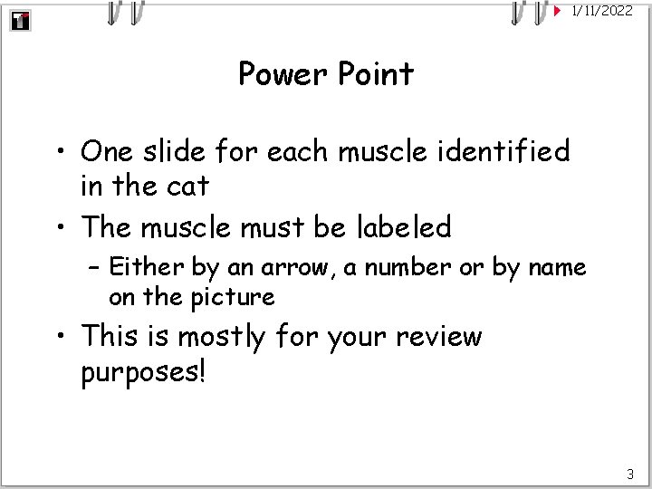 1/11/2022 Power Point • One slide for each muscle identified in the cat •