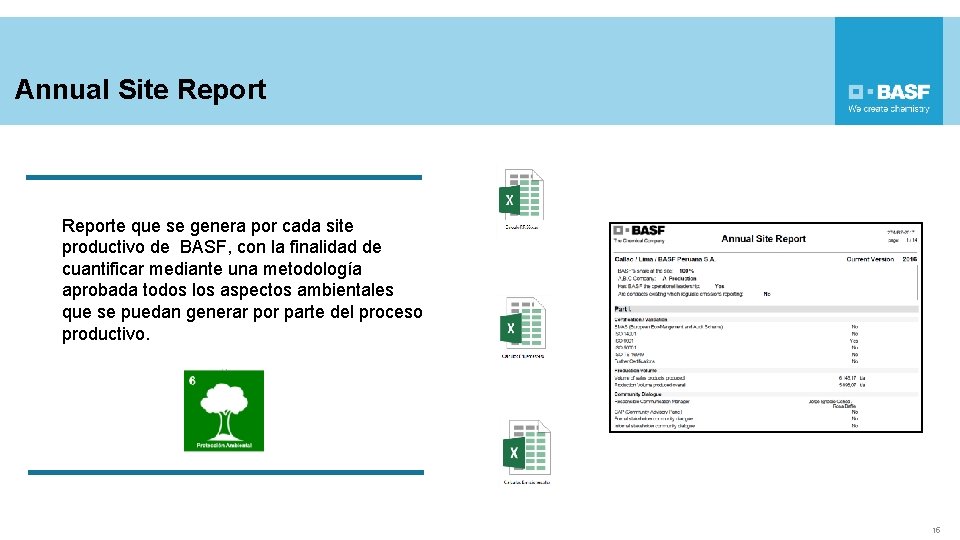 Annual Site Reporte que se genera por cada site productivo de BASF, con la