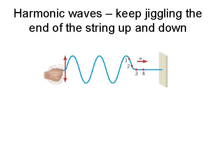 Harmonic waves – keep jiggling the end of the string up and down 