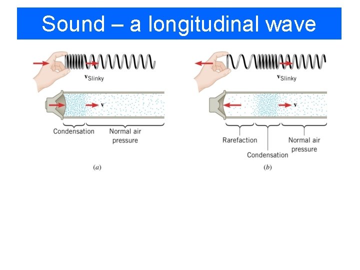 Sound – a longitudinal wave 