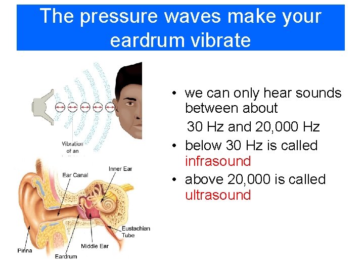 The pressure waves make your eardrum vibrate • we can only hear sounds between