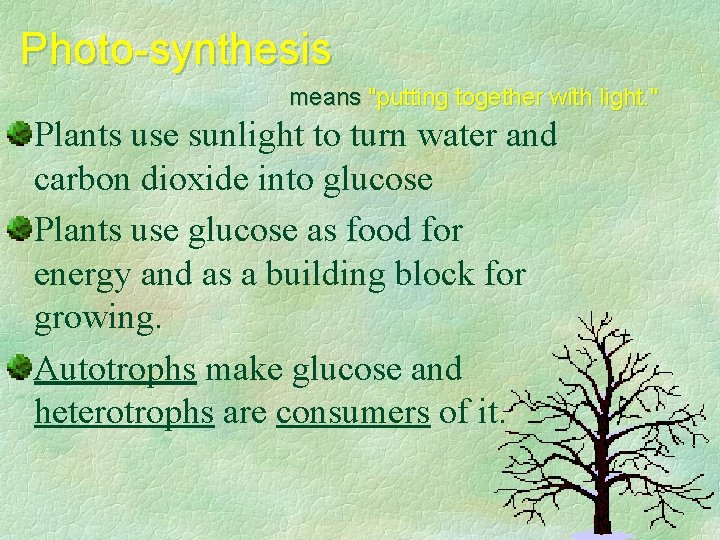 Photo-synthesis means "putting together with light. " Plants use sunlight to turn water and