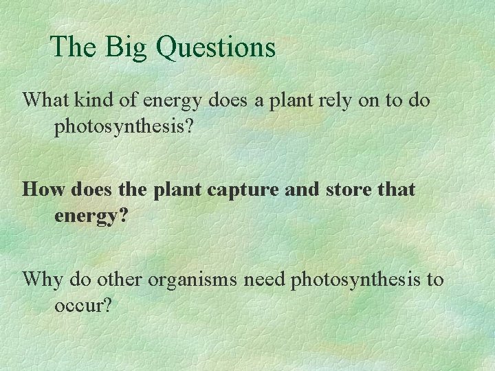 Overview of Photosynthesis The Big Questions What kind