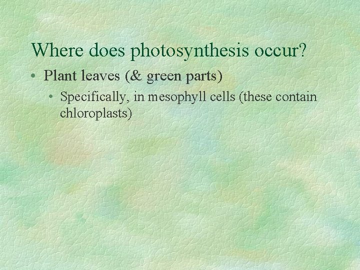 Where does photosynthesis occur? • Plant leaves (& green parts) • Specifically, in mesophyll