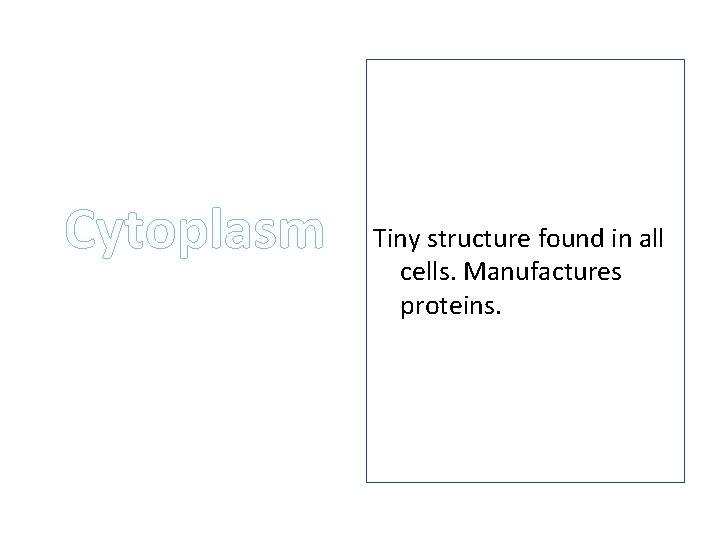 Cytoplasm Tiny structure found in all cells. Manufactures proteins. 