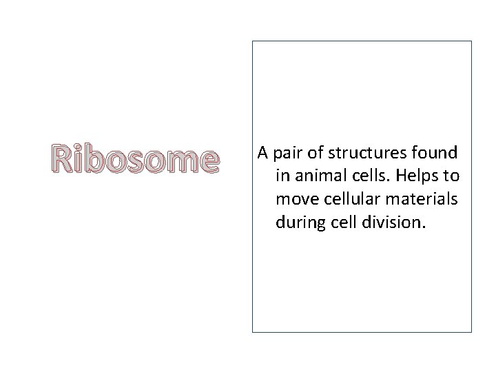 Ribosome A pair of structures found in animal cells. Helps to move cellular materials