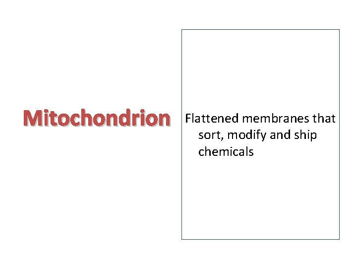 Mitochondrion Flattened membranes that sort, modify and ship chemicals 