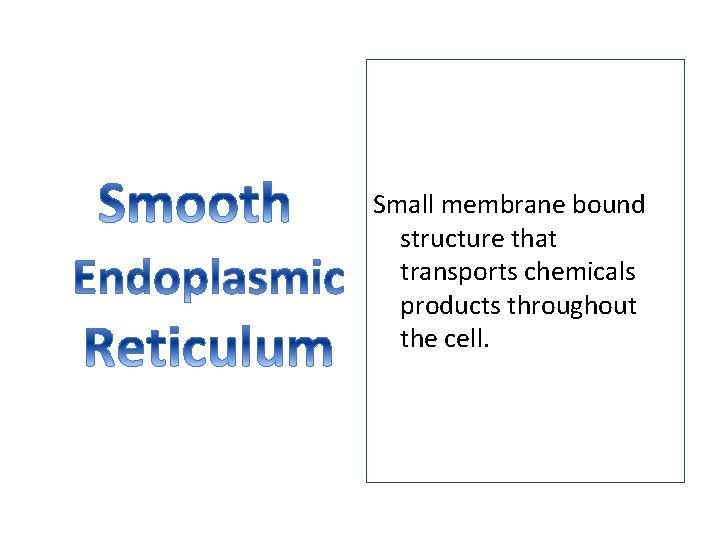 Small membrane bound structure that transports chemicals products throughout the cell. 