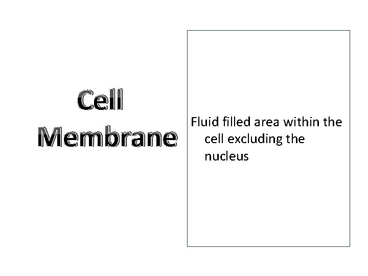 Cell Membrane Fluid filled area within the cell excluding the nucleus 