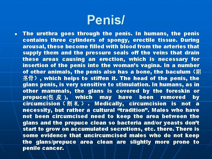 Penis/ n The urethra goes through the penis. In humans, the penis contains three