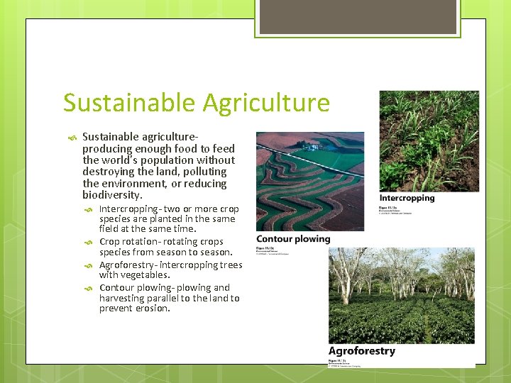 Sustainable Agriculture Sustainable agricultureproducing enough food to feed the world’s population without destroying the