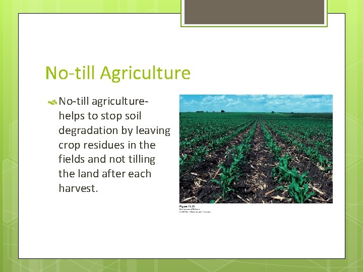 No-till Agriculture No-till agriculture- helps to stop soil degradation by leaving crop residues in