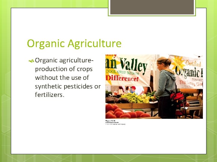 Organic Agriculture Organic agriculture- production of crops without the use of synthetic pesticides or