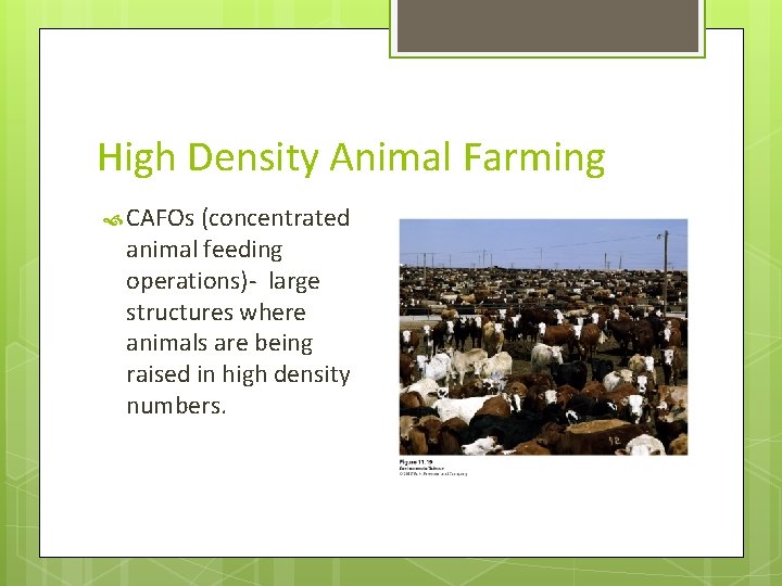 High Density Animal Farming CAFOs (concentrated animal feeding operations)- large structures where animals are