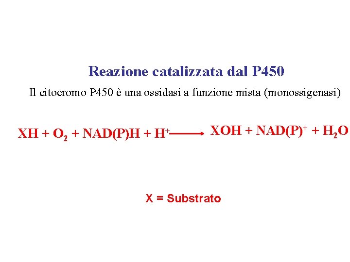 Reazione catalizzata dal P 450 Il citocromo P 450 è una ossidasi a funzione