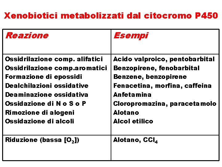Xenobiotici metabolizzati dal citocromo P 450 Reazione Esempi Ossidrilazione comp. alifatici Ossidrilazione comp. aromatici