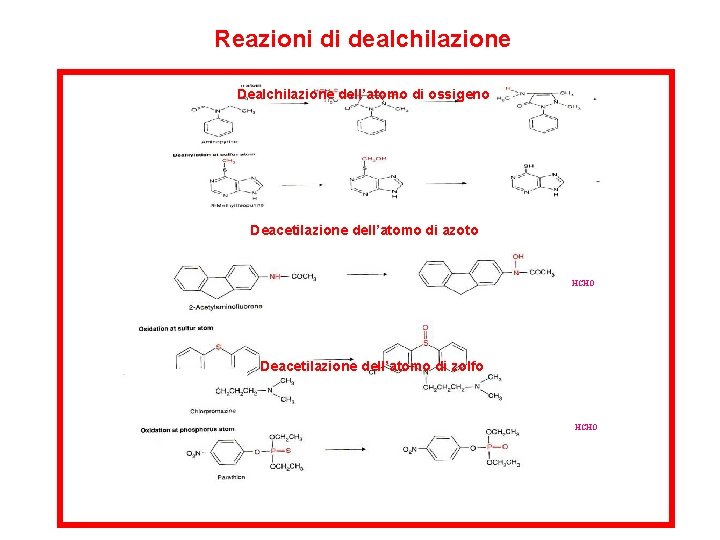 Reazioni di dealchilazione Dealchilazione dell’atomo di ossigeno Deacetilazione dell’atomo di azoto HCHO Deacetilazione dell’atomo