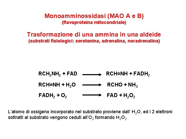 Monoamminossidasi (MAO A e B) (flavoproteina mitocondriale) Trasformazione di una ammina in una aldeide