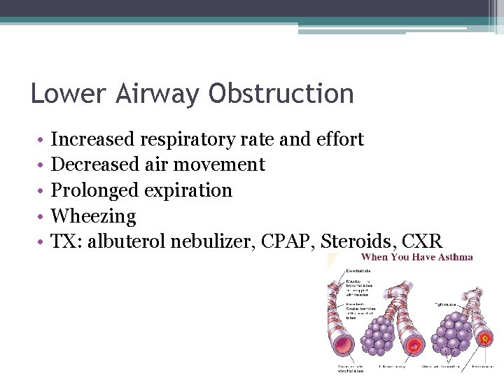 Lower Airway Obstruction • • • Increased respiratory rate and effort Decreased air movement Lower Airway Obstruction • • • Increased respiratory rate and effort Decreased air movement