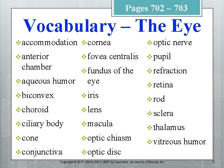 Pages 702 – 703 Vocabulary – The Eye v accommodation v cornea v optic