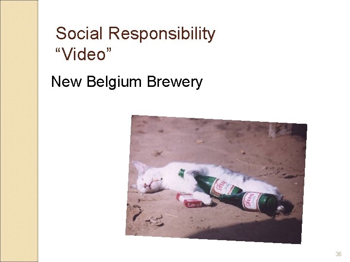 Social Responsibility “Video” New Belgium Brewery 36 