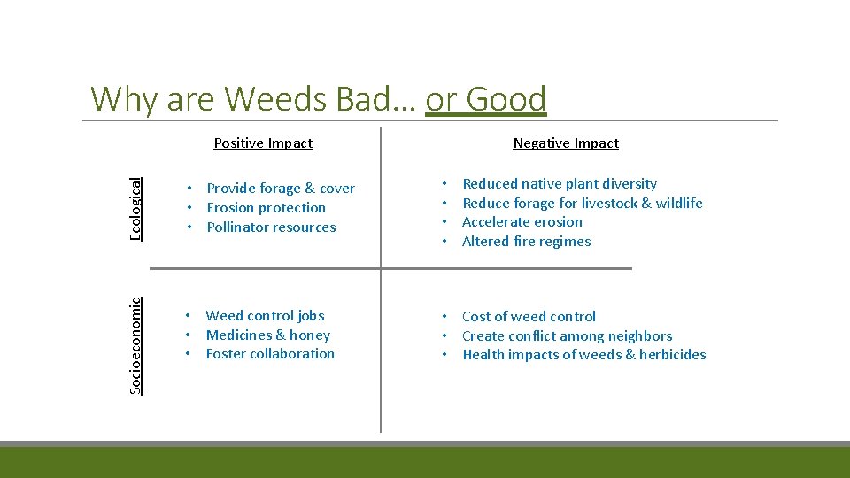 Why are Weeds Bad… or Good Negative Impact Ecological Reduced native plant diversity Reduce