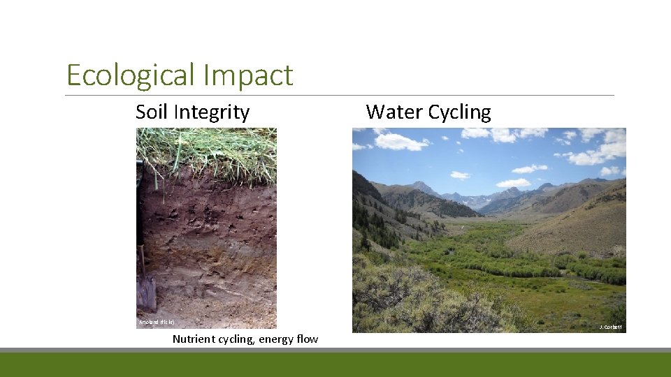 Ecological Impact Soil Integrity Artoland (flickr) Nutrient cycling, energy flow Water Cycling J. Corbett