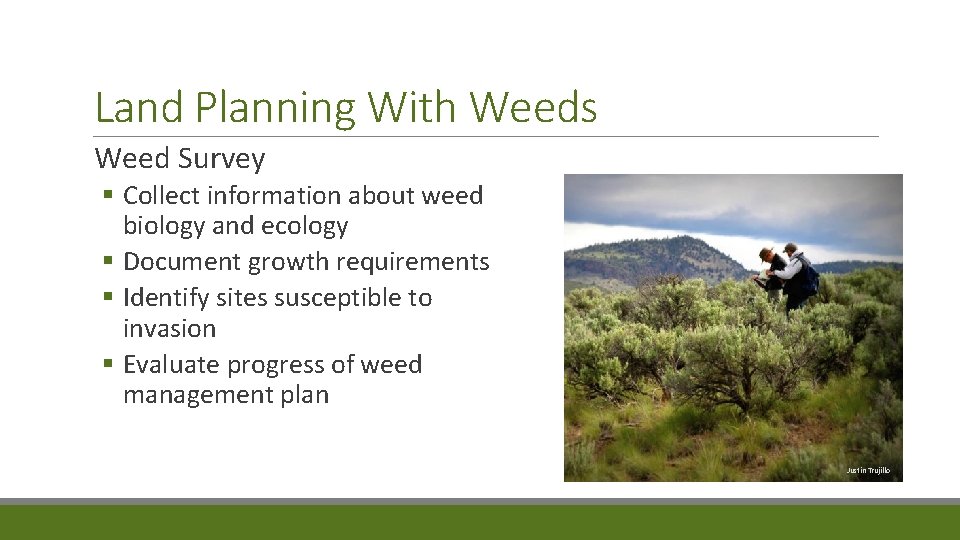 Land Planning With Weeds Weed Survey § Collect information about weed biology and ecology
