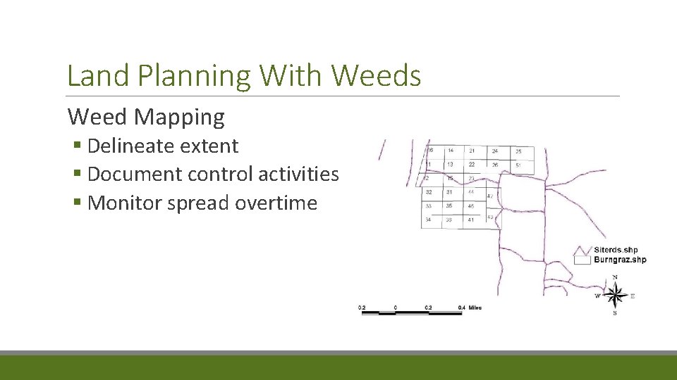 Land Planning With Weeds Weed Mapping § Delineate extent § Document control activities §