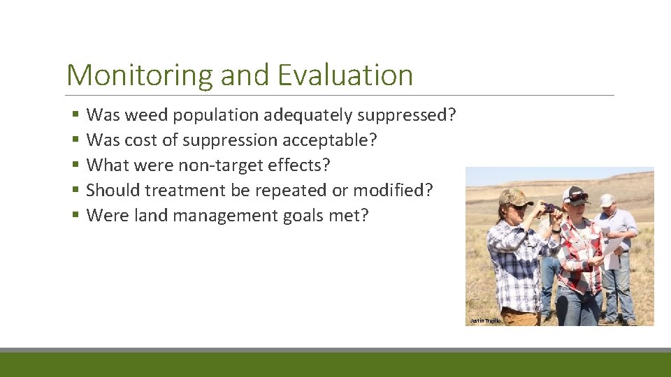 Monitoring and Evaluation § Was weed population adequately suppressed? § Was cost of suppression