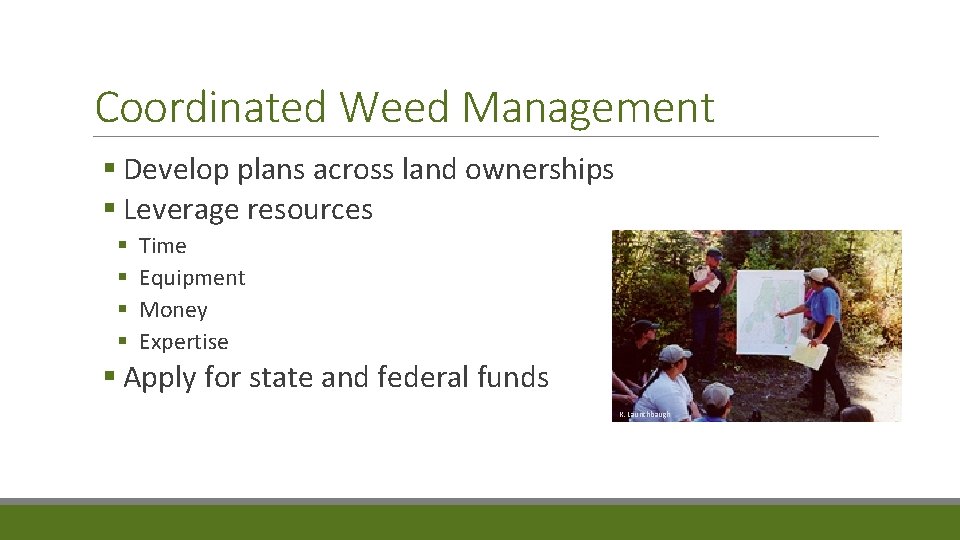 Coordinated Weed Management § Develop plans across land ownerships § Leverage resources § §