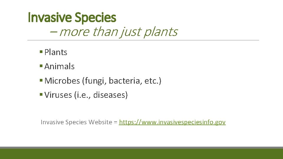 Invasive Species – more than just plants § Plants § Animals § Microbes (fungi,