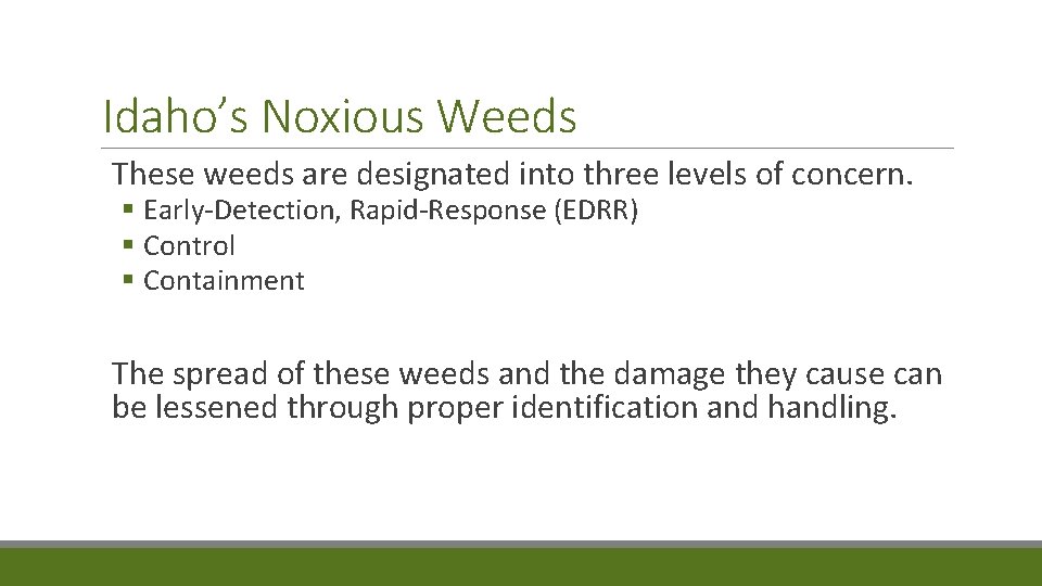 Idaho’s Noxious Weeds These weeds are designated into three levels of concern. § Early-Detection,