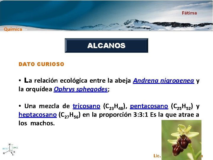 Fátima Química ALCANOS DATO CURIOSO • La relación ecológica entre la abeja Andrena nigroaenea
