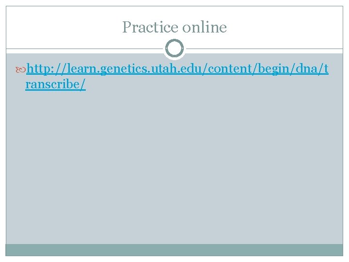 Practice online http: //learn. genetics. utah. edu/content/begin/dna/t ranscribe/ 