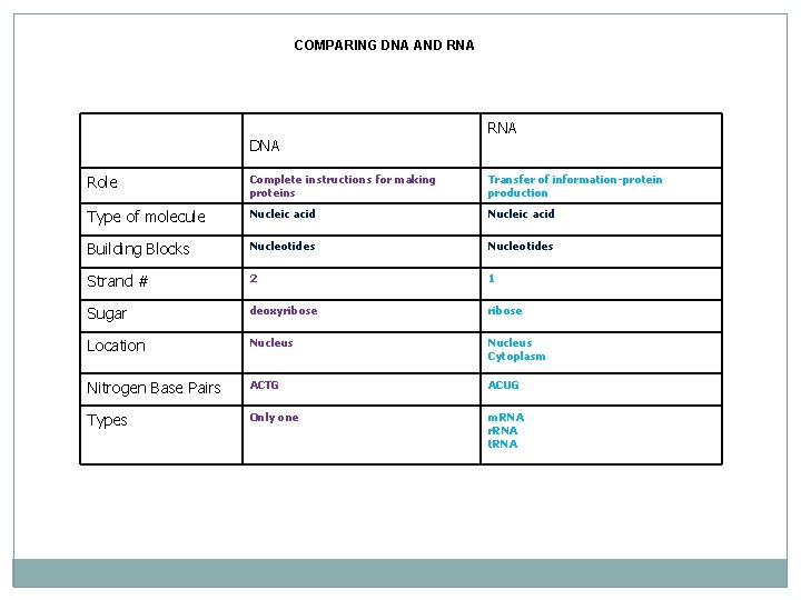 COMPARING DNA AND RNA DNA Role Complete instructions for making proteins Transfer of information-protein