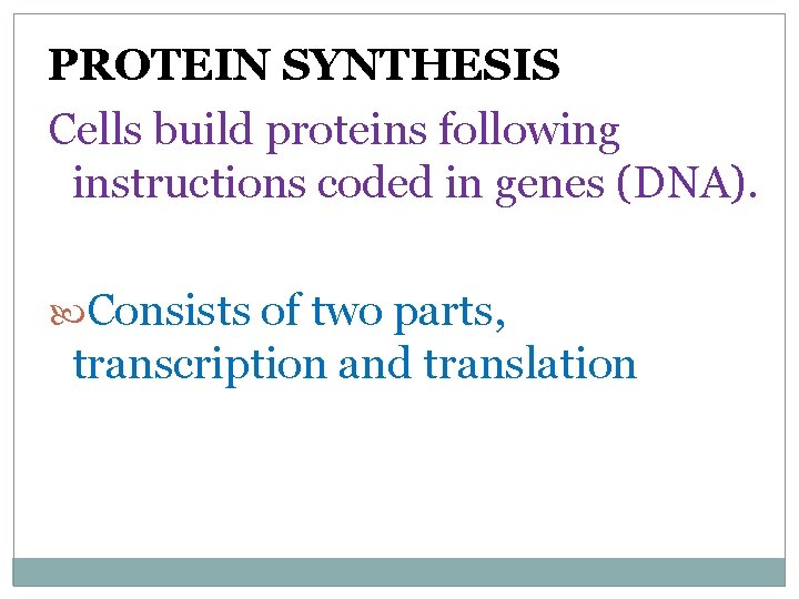 PROTEIN SYNTHESIS Cells build proteins following instructions coded in genes (DNA). Consists of two