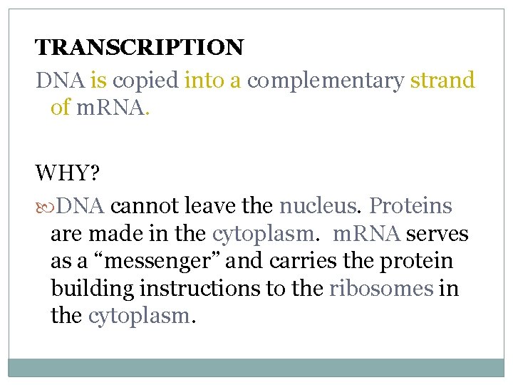 TRANSCRIPTION DNA is copied into a complementary strand of m. RNA. WHY? DNA cannot