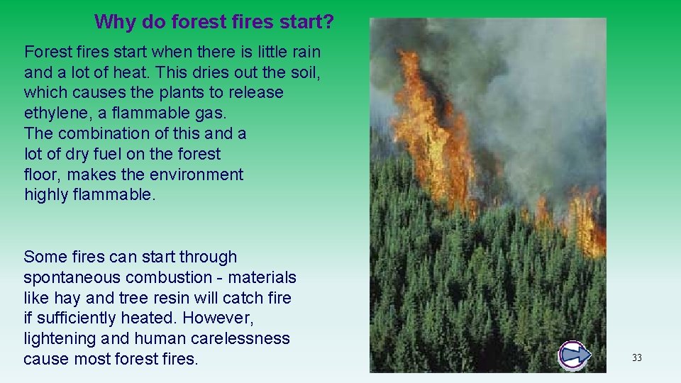 Why do forest fires start? Forest fires start when there is little rain and
