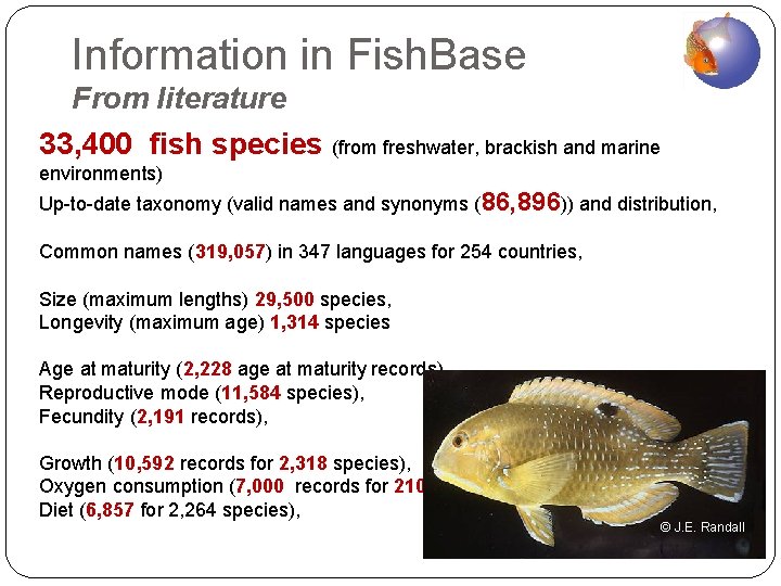 Information in Fish. Base From literature 33, 400 fish species (from freshwater, brackish and