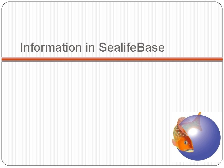 Information in Sealife. Base 