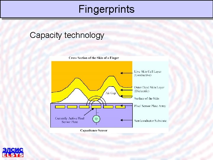 Fingerprints Capacity technology 