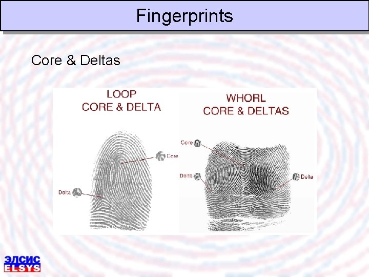 Fingerprints Core & Deltas 