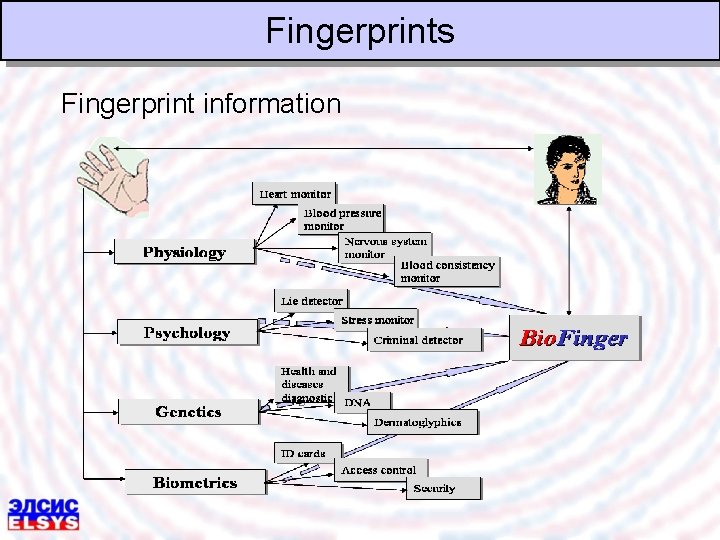 Fingerprints Fingerprint information 