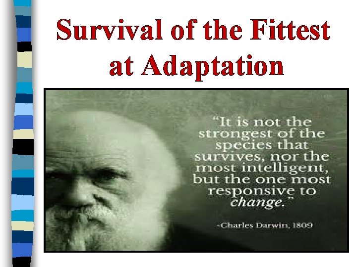 Survival of the Fittest at Adaptation 