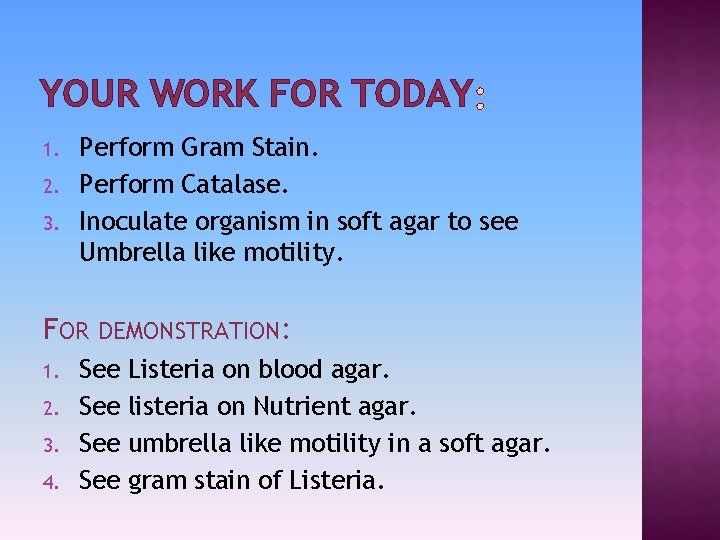 YOUR WORK FOR TODAY 1. 2. 3. Perform Gram Stain. Perform Catalase. Inoculate organism
