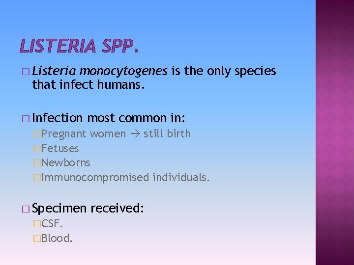 LISTERIA SPP. � Listeria monocytogenes is the only species that infect humans. � Infection